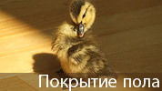 Покрытие пола